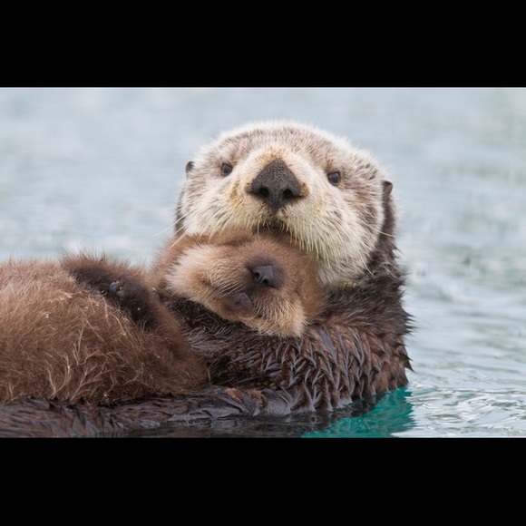 Meet your Posher, Kellyn - Picture 5 of 5